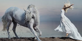 Trust-your-Horse Theoriekurs: 'Vom Pferd zum Reitpferd und vom Mensch zum Reiter'